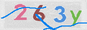 CAPTCHA 驗證圖片