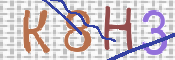 CAPTCHA 驗證圖片