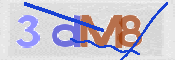 CAPTCHA 驗證圖片
