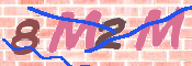 CAPTCHA 驗證圖片