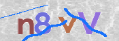 CAPTCHA 驗證圖片
