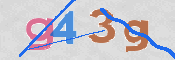 CAPTCHA 驗證圖片