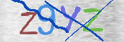 CAPTCHA 驗證圖片