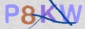 CAPTCHA 驗證圖片