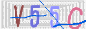 CAPTCHA 驗證圖片
