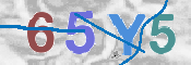 CAPTCHA 驗證圖片