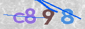 CAPTCHA 驗證圖片