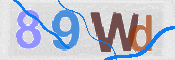 CAPTCHA 驗證圖片