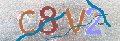 CAPTCHA 驗證圖片