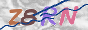CAPTCHA 驗證圖片