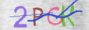 CAPTCHA 驗證圖片