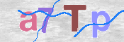 CAPTCHA 驗證圖片