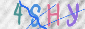 CAPTCHA 驗證圖片