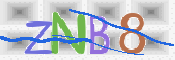 CAPTCHA 驗證圖片