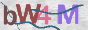 CAPTCHA 驗證圖片