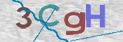 CAPTCHA 驗證圖片