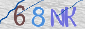 CAPTCHA 驗證圖片