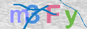 CAPTCHA 驗證圖片