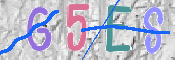 CAPTCHA 驗證圖片