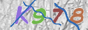 CAPTCHA 驗證圖片