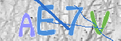 CAPTCHA 驗證圖片