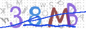 CAPTCHA 驗證圖片