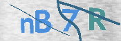 CAPTCHA 驗證圖片