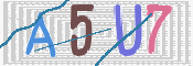 CAPTCHA 驗證圖片