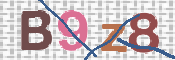CAPTCHA 驗證圖片