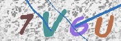 CAPTCHA 驗證圖片