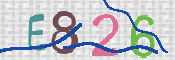 CAPTCHA 驗證圖片