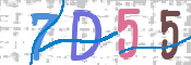 CAPTCHA 驗證圖片
