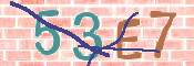 CAPTCHA 驗證圖片