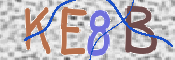 CAPTCHA 驗證圖片
