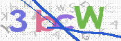 CAPTCHA 驗證圖片
