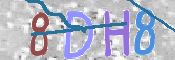 CAPTCHA 驗證圖片