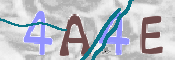 CAPTCHA 驗證圖片