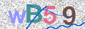 CAPTCHA 驗證圖片