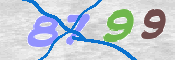 CAPTCHA 驗證圖片