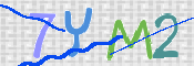 CAPTCHA 驗證圖片