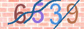 CAPTCHA 驗證圖片