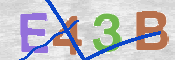 CAPTCHA 驗證圖片