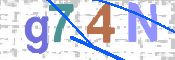 CAPTCHA 驗證圖片