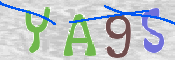 CAPTCHA 驗證圖片