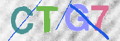 CAPTCHA 驗證圖片