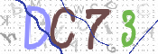 CAPTCHA 驗證圖片