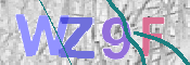 CAPTCHA 驗證圖片