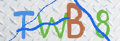 CAPTCHA 驗證圖片