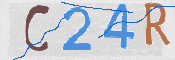 CAPTCHA 驗證圖片