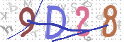 CAPTCHA 驗證圖片